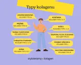 Ilustracja przedstawia różne typy kolagenu i ich lokalizację w organizmie. Kolagen typu I występuje w skórze, kościach, ścięgnach.