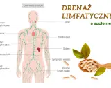 Ilustracja układu limfatycznego z zaznaczonymi węzłami chłonnymi, grasicą i śledzioną. Obok łyżka z kapsułkami, sugerująca wsparcie dla drenażu limfatycznego.