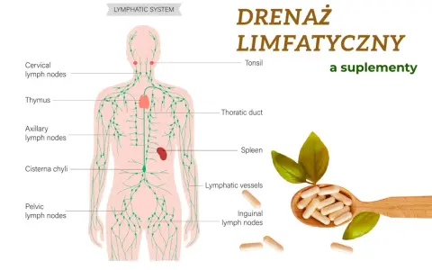 Ilustracja układu limfatycznego z zaznaczonymi węzłami chłonnymi, grasicą i śledzioną. Obok łyżka z kapsułkami, sugerująca wsparcie dla drenażu limfatycznego.