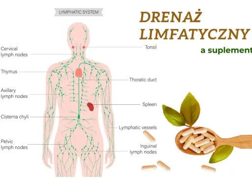 Ilustracja układu limfatycznego z zaznaczonymi węzłami chłonnymi, grasicą i śledzioną. Obok łyżka z kapsułkami, sugerująca wsparcie dla drenażu limfatycznego.